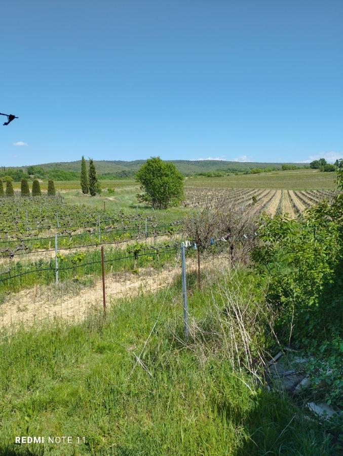 Chambre D Hotes En Provence, Au Pied Du Luberon, Les Coquelicots La Tour-dʼAigues Eksteriør bilde