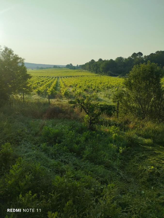 Chambre D Hotes En Provence, Au Pied Du Luberon, Les Coquelicots La Tour-dʼAigues Eksteriør bilde